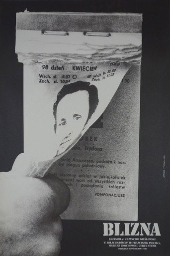 Póster de Blizna