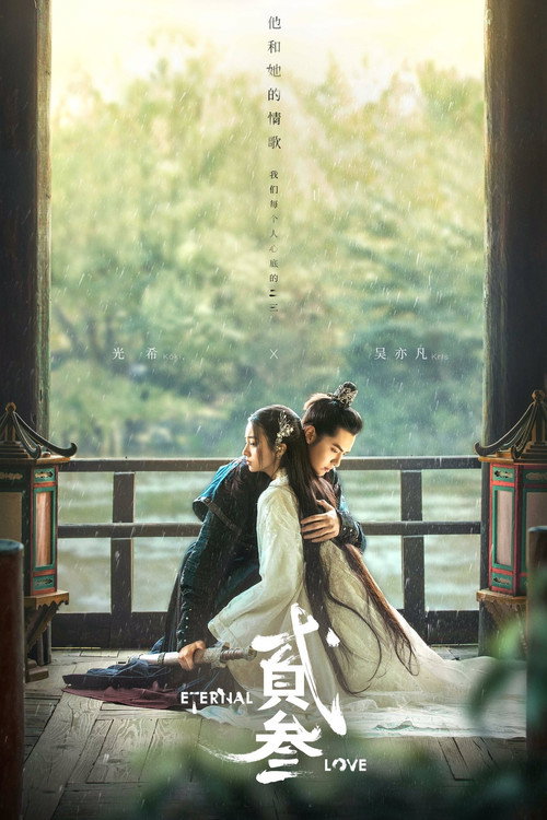 Póster de 贰叁