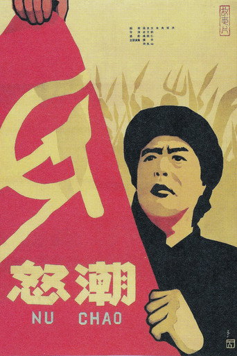 Póster de 怒潮