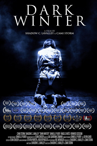 Póster de Dark Winter