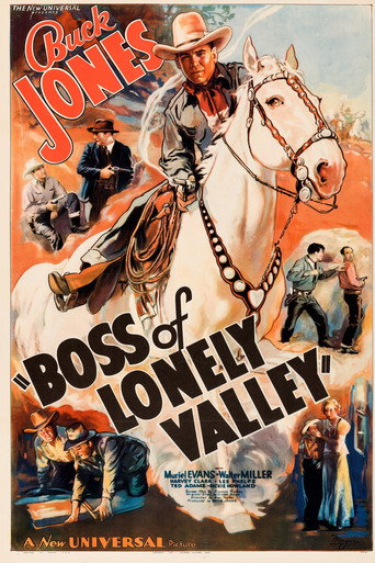 Póster de Jefe del valle solitario