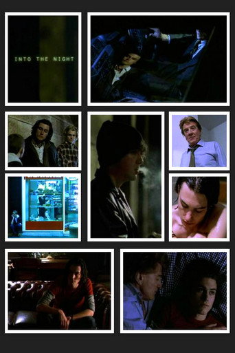 Póster de Into the Night