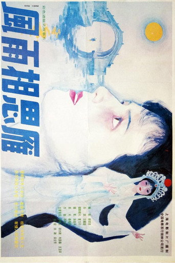 Póster de 风雨相思雁