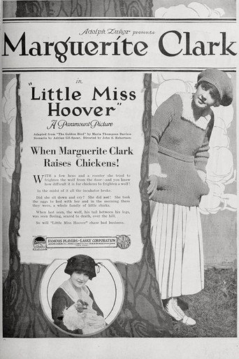 Póster de Little Miss Hoover