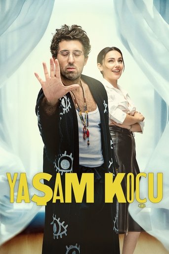 Póster de Yaşam Koçu