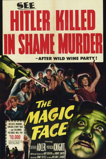 Póster de The Magic Face