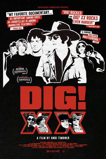 Póster de DIG! XX
