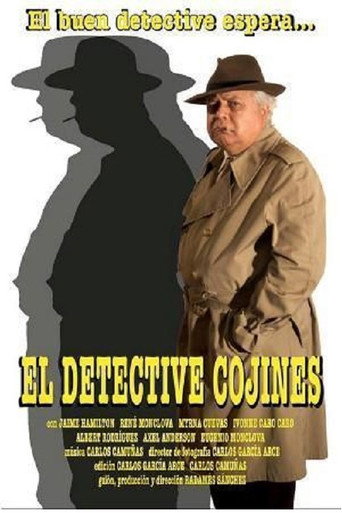 Póster de El detective Cojines