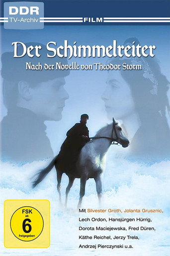 Póster de Der Schimmelreiter