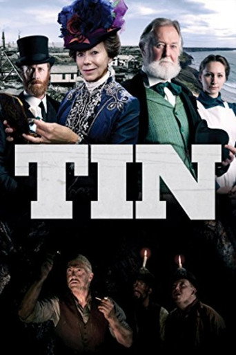 Póster de Tin