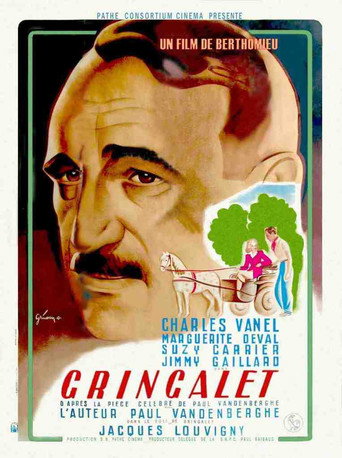 Póster de Gringalet