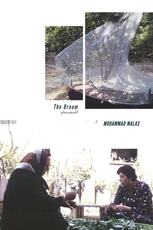 Póster de The Dream