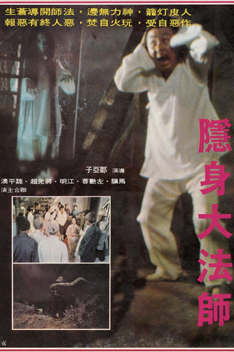 Póster de 隱身大法師