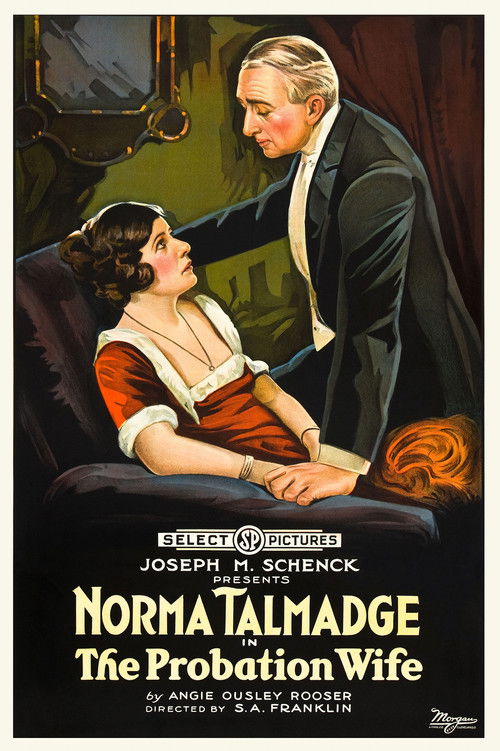 Póster de The Probation Wife