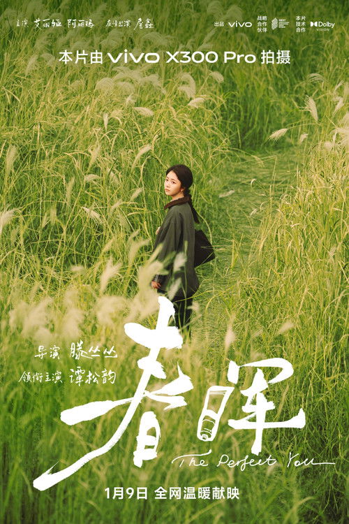 Póster de 春晖