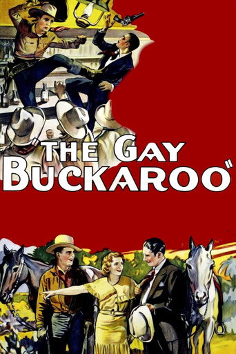 Póster de The Gay Buckaroo