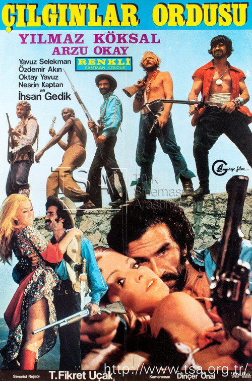 Póster de Çılgınlar Ordusu