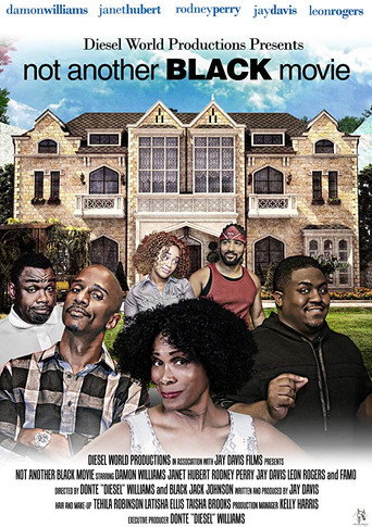 Póster de Not Another Black Movie