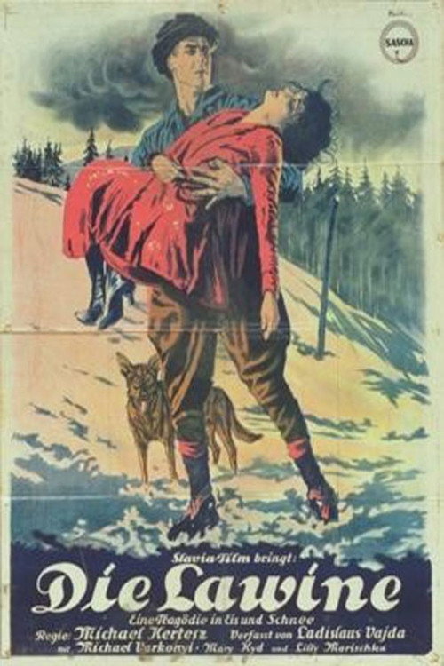 Póster de Die Lawine