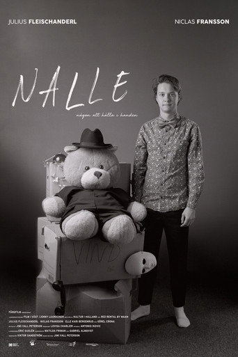 Póster de Nalle
