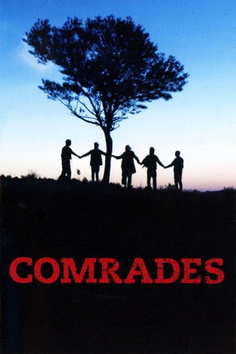 Póster de Comrades