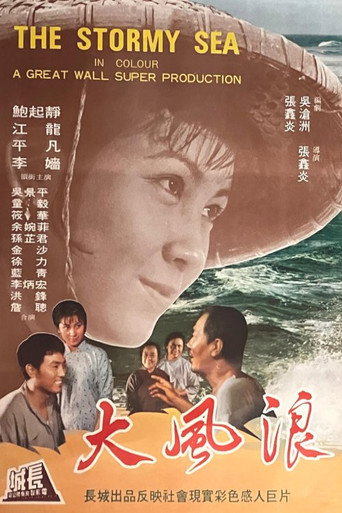Póster de 大風浪