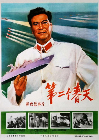 Póster de 第二个春天