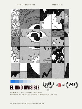 Póster de El niño invisible