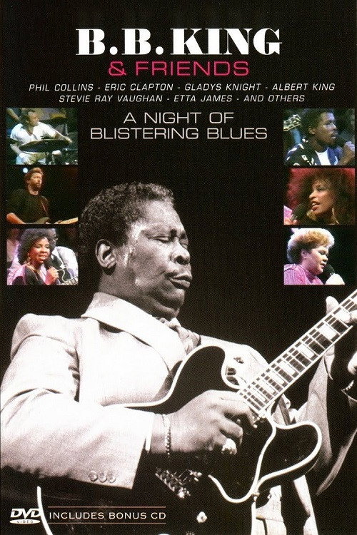 Póster de B.B. King & Friends