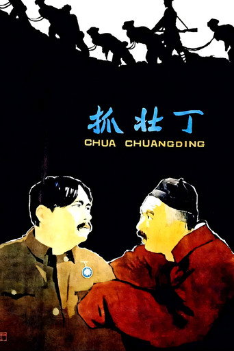 Póster de 抓壮丁