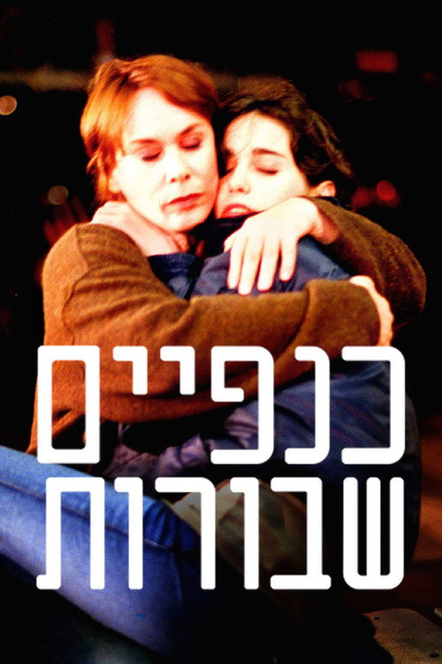 Póster de כנפיים שבורות