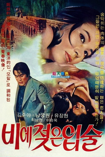 Póster de 비에 젖은 입술