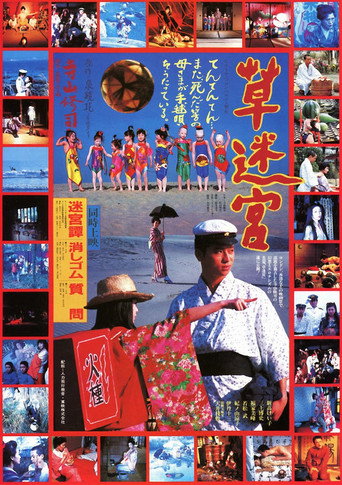 Póster de 草迷宮