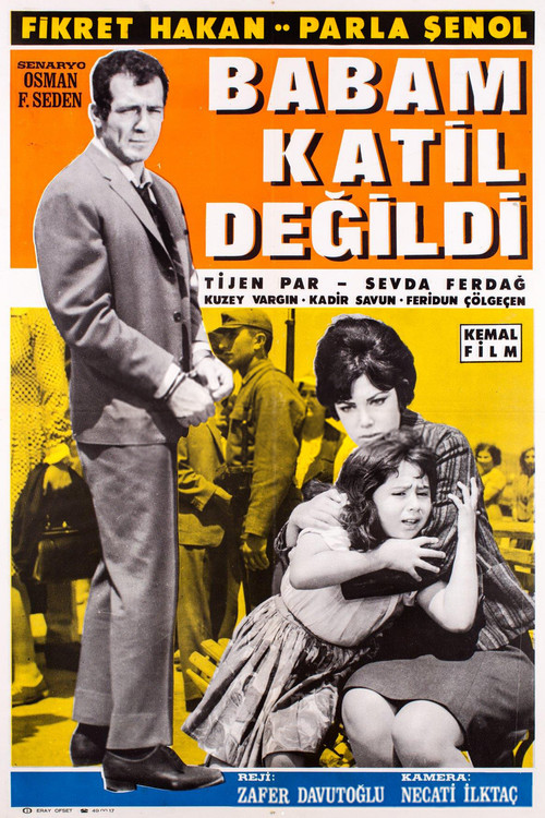 Póster de Babam Katil Değildi