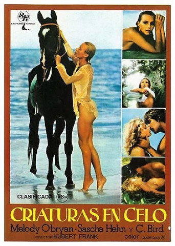 Póster de Melody in Love