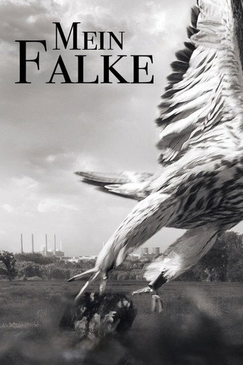 Póster de Mein Falke