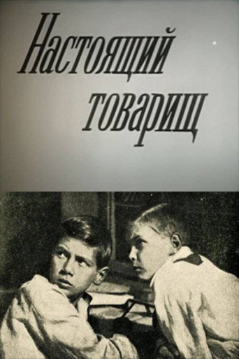 Póster de Настоящий товарищ