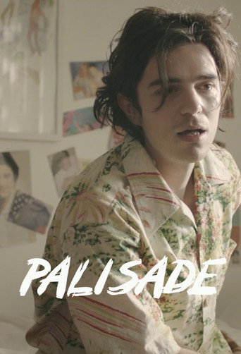 Póster de Palisade