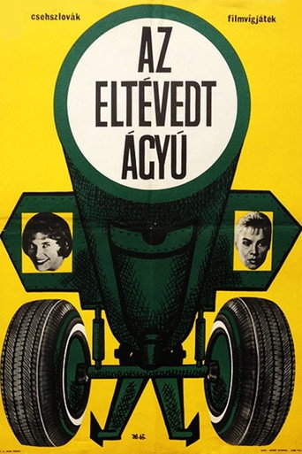 Póster de Zatoulané dělo