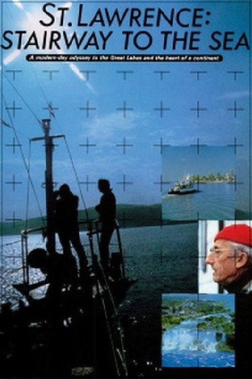 Póster de Saint-Laurent : Escalier vers la mer