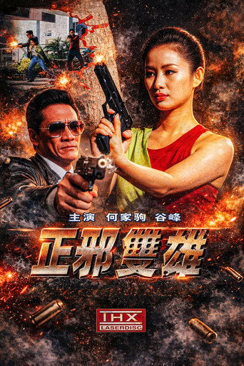 Póster de 正邪雙雄