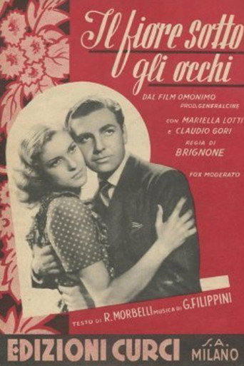 Póster de Il fiore sotto gli occhi