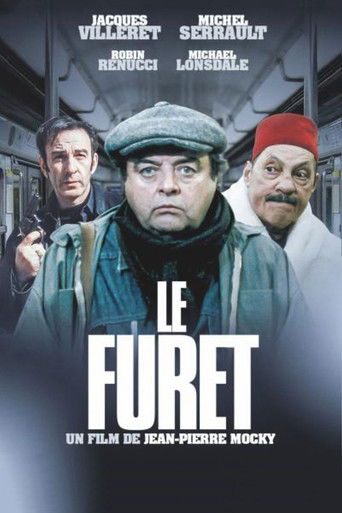Póster de Le Furet