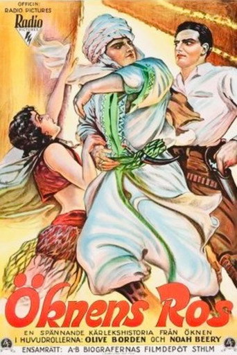 Póster de Love in the Desert