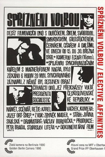 Póster de Spřízněni volbou