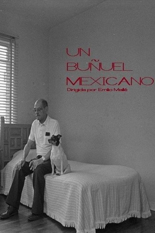 Póster de Un Buñuel mexican
