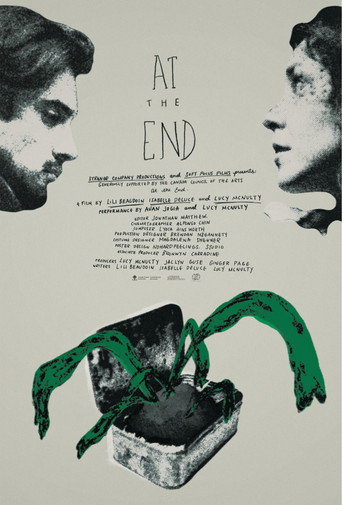 Póster de At the End