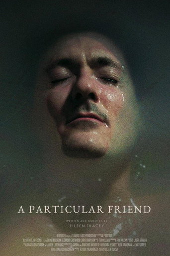 Póster de A Particular Friend