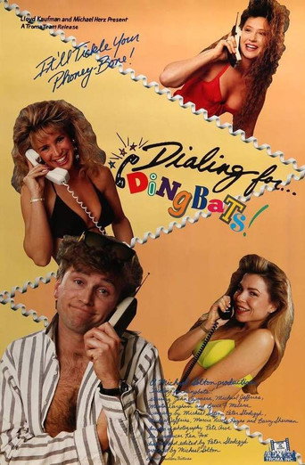 Póster de Dialing for Dingbats