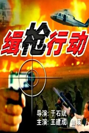 Póster de 缉枪行动